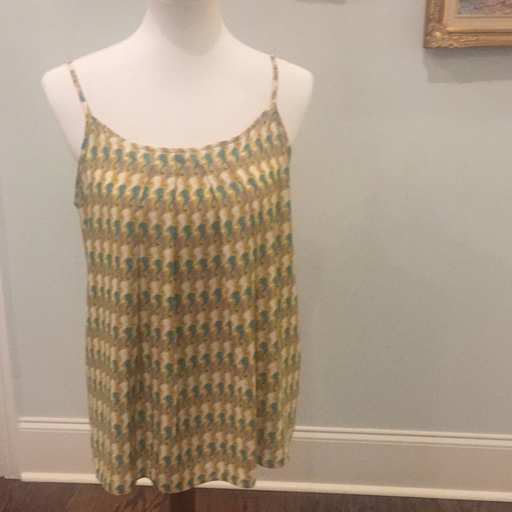 Cabi seahorse tank